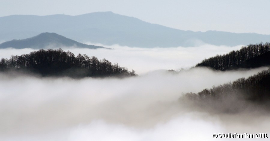 Profili di crinali nella nebbia.jpg